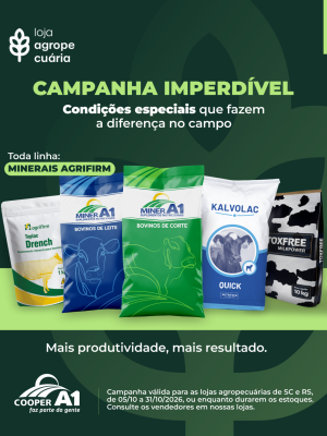 Campanha Minerais