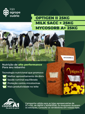 Aditivos Nutri&ccedil;&atilde;o Animal
