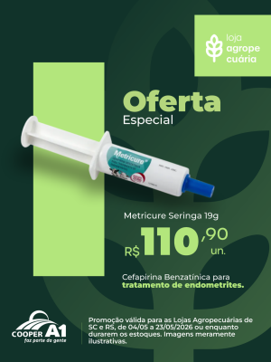 Oferta Especial