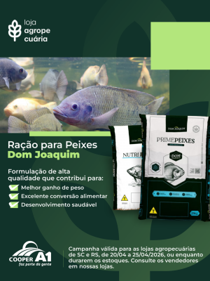 Ra&ccedil;&atilde;o para Peixes Dom Joaquim