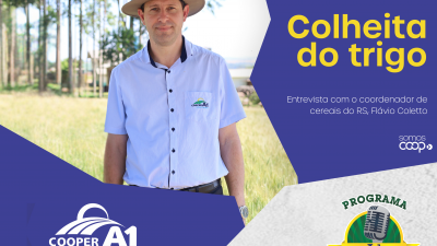 INFORMATIVO A1 10.11.25: Colheita do trigo