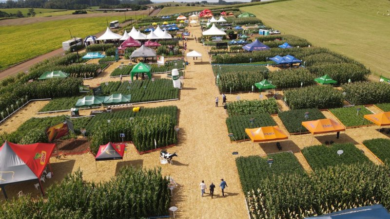 ATUALIDADES DO MERCADO: Preparação da 3ª edição do Campo Tecnológico  