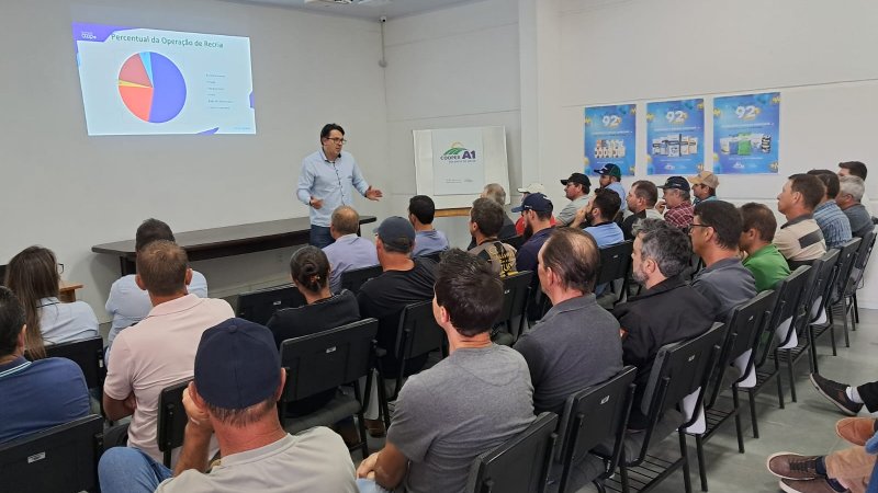 BOVINOCULTURA DE CORTE: Cooperados de Riqueza est&atilde;o favor&aacute;veis a implanta&ccedil;&atilde;o da atividade