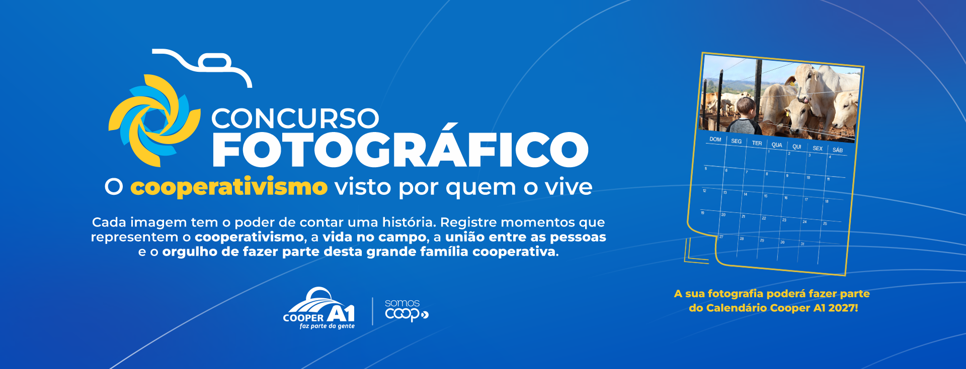 Participe!