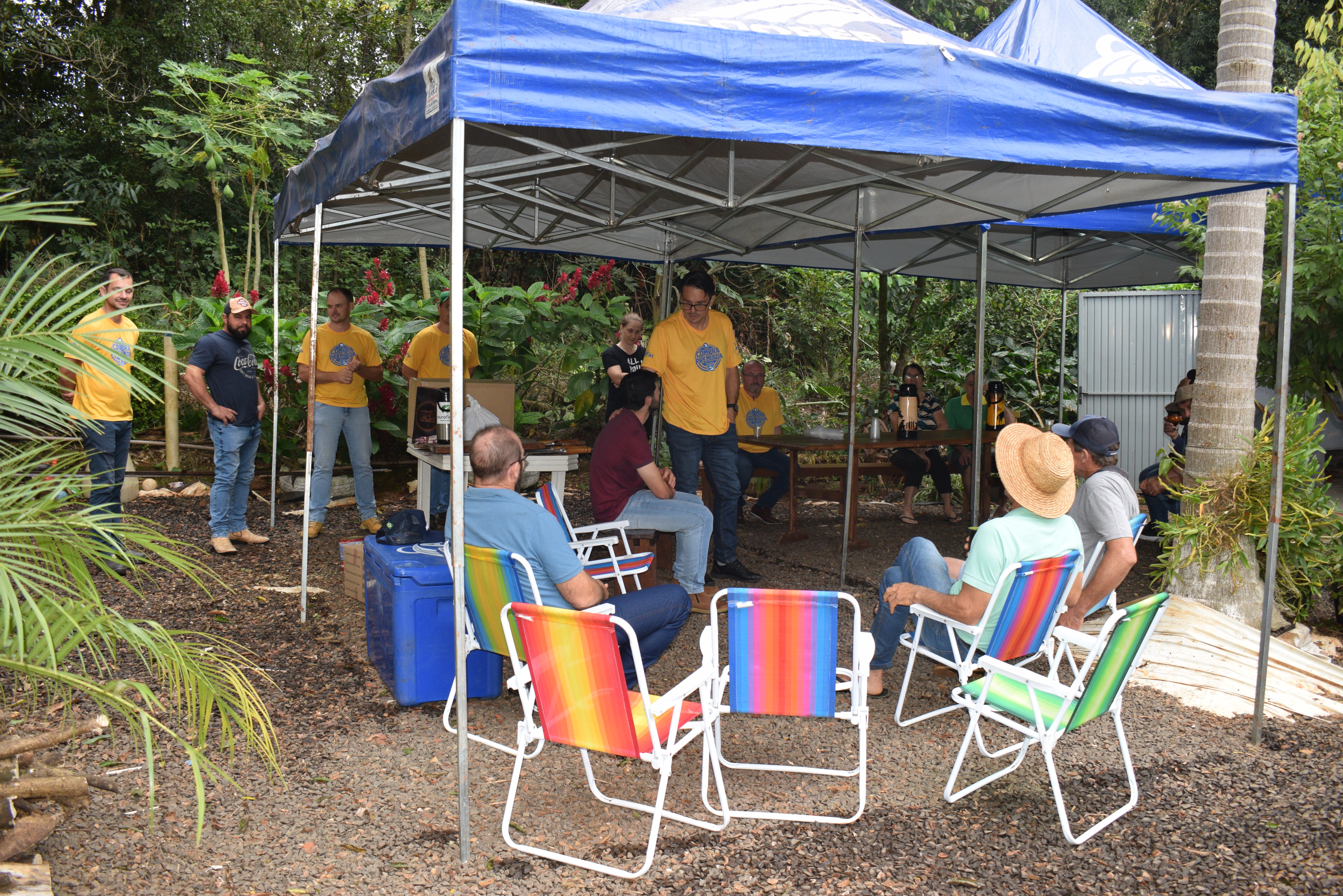DIA DE CAMPO: produtores acompanham resultados reais da bovinocultura de corte